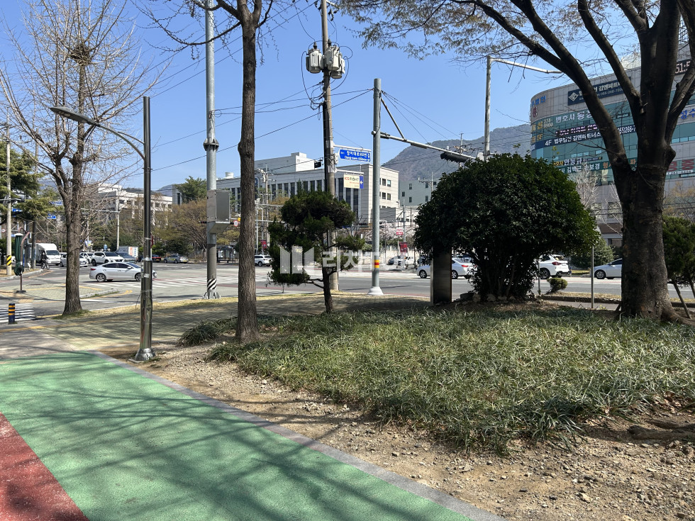 경남 창원시 성산구 사파동 \u2605 법원 스벅 맞은편 귀한 무권리 1층 소형삼가 \u2605 월세 매물번호 12239 사진 1