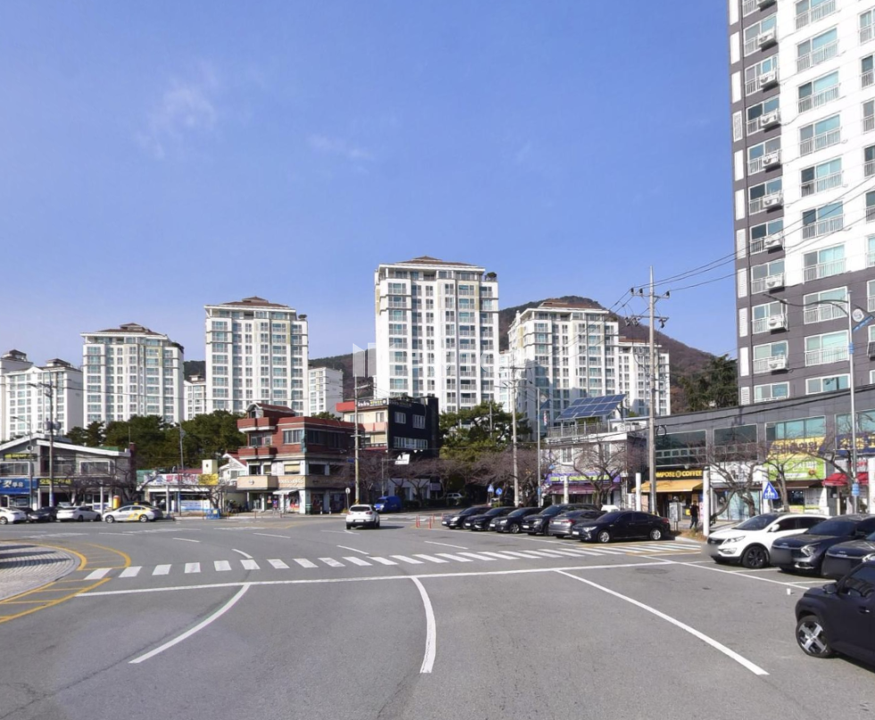 경남 창원시 진해구 도천동 진해 여좌천 로망스다리 인근 상권 1층 상가 매매 매매 매물번호 12460 사진 1