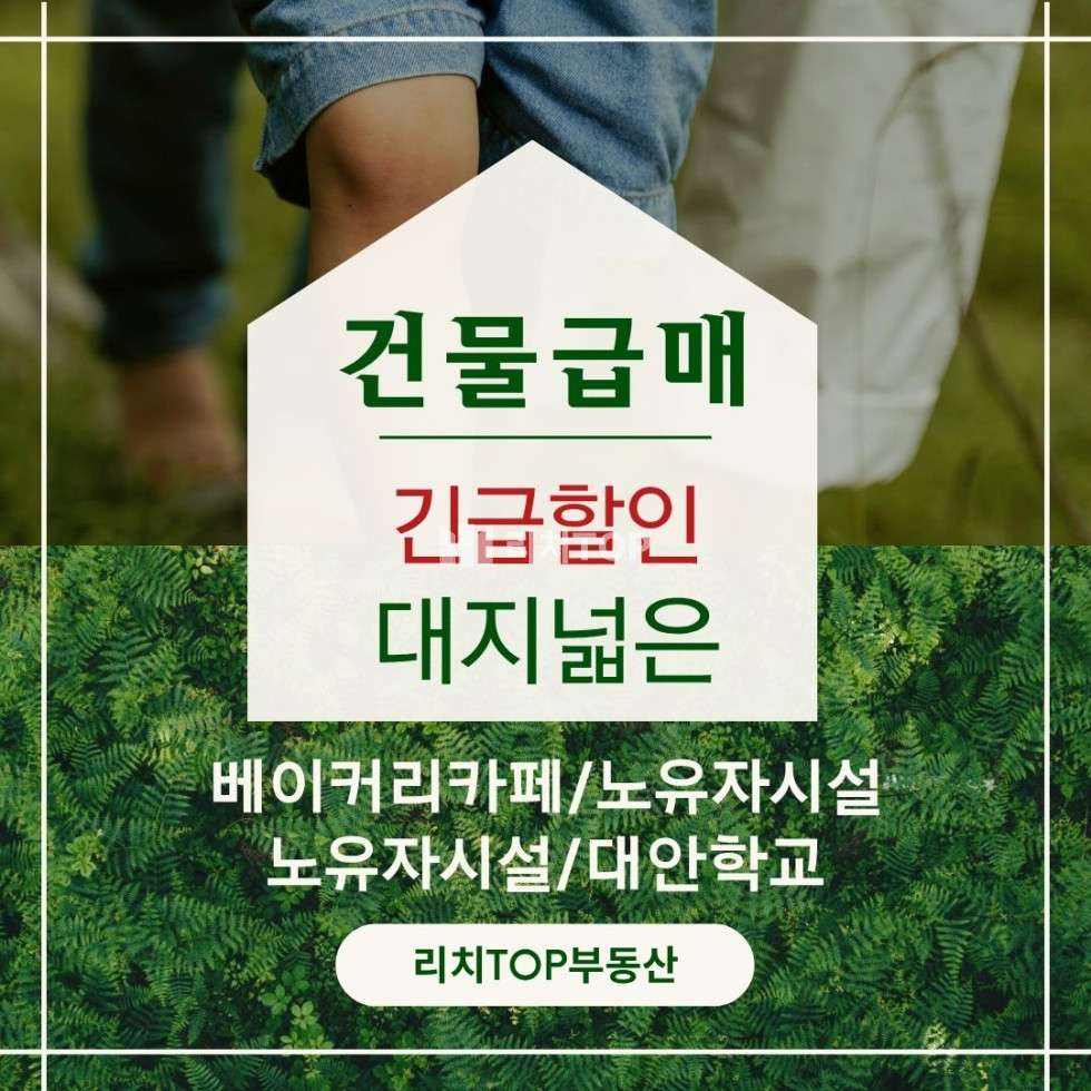 경남 창원시 의창구 동읍 <급매> 매매가 파격인하 / 리모델링하여 카페, 베이커리, 대안학교, 종교시설, 노유자시설 추천 매매 매물번호 12794 사진 1