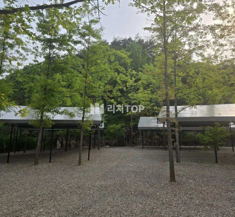 경남 산청군 단성면 경남 산청 지리산 계곡 캠핑장 글램핑 매매 실 운영 수익 높은 매물 강추 매매 매물번호 12838 사진 3
