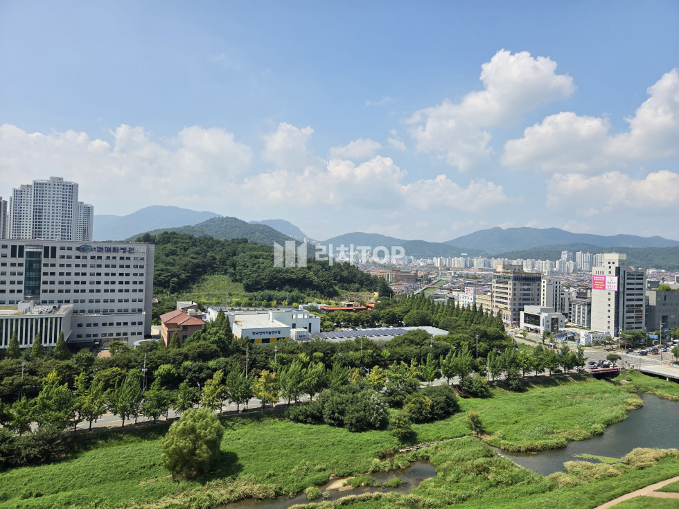 경남 창원시 성산구 대원동 창원천뷰 포세린타일 주방특화 기능성오븐 오브제냉장고 클린현관 조합원 전세 매물번호 13006 사진 8