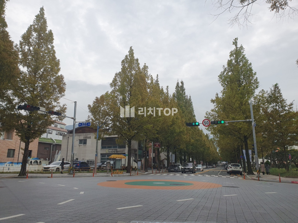 경남 창원시 성산구 용호동 \u2705\ufe0f가로수길 카페임대/ 실35평 / 세로수길 핫스팟/유동많은 곳/ 저렴한 권리금/ 인테리어 집기 양도양수/ 월세 매물번호 13359 사진 1