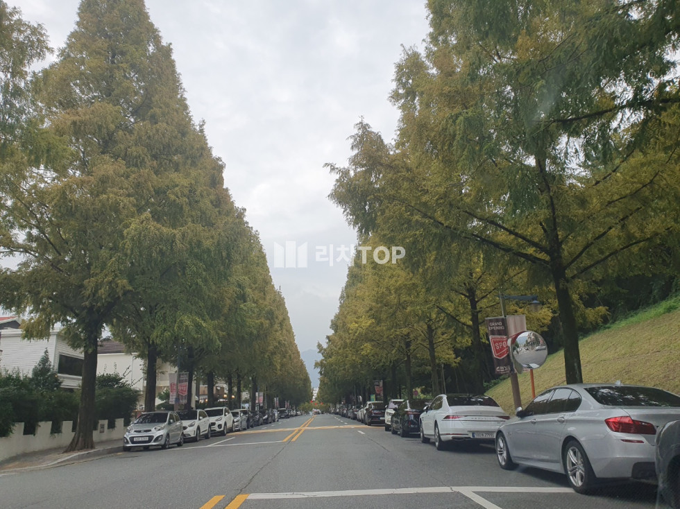 경남 창원시 성산구 용호동 용호동 상가임대/ 2층/ 실23평/ 주류판매가능한 귀한자리/ 시설.인테리어 최신 최상급 월세 매물번호 13421 사진 1