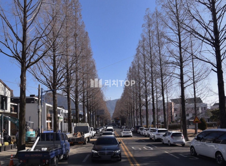 경남 창원시 성산구 용호동 창원 용호동 가로수길 메인대로변 매출높은 음식점 자리 월세 매물번호 14018 사진 1