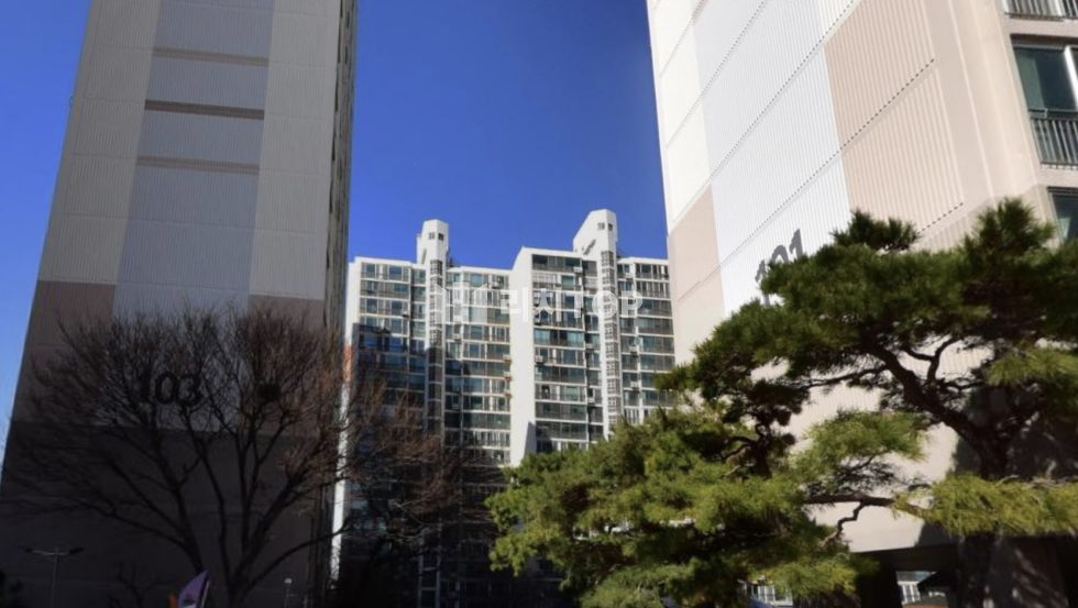경남 창원시 성산구 대방동 대방동성 23평 즉시입주가능 거실확장, 보일러교체 되어 있는 상태좋은매물 매매 매물번호 11231 사진 1