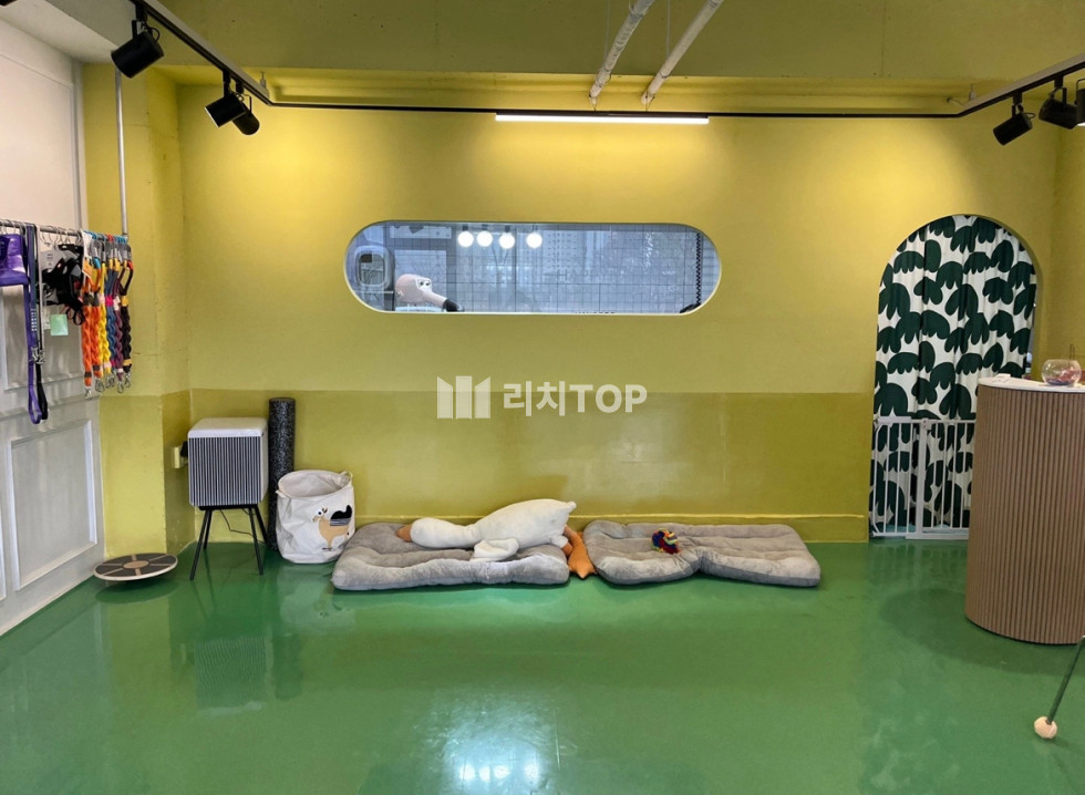 경남 창원시 의창구 서상동 월세 월세 매물번호 11404 사진 2