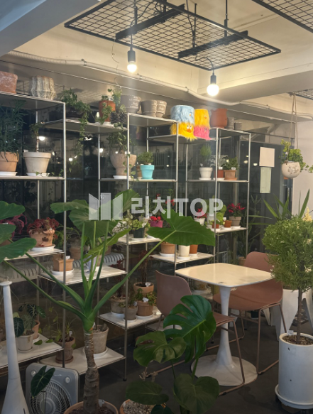 경남 창원시 성산구 상남동 \u2714 상남동 이쁜 카페 양도양수 / 식물 카페로 권리금 문의/지하이나 1층처럼 접근 가능 월세 매물번호 11952 사진 2